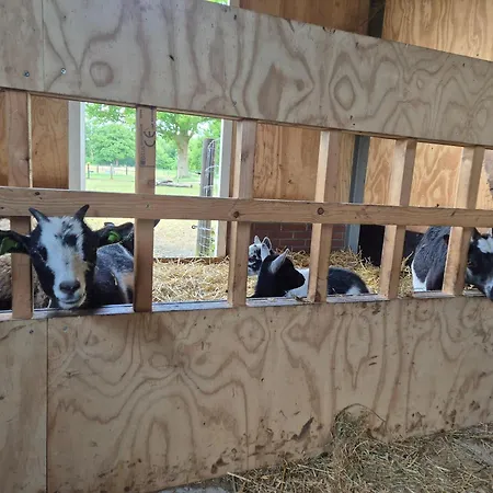 Lyxtält Klein Koestapel Putten