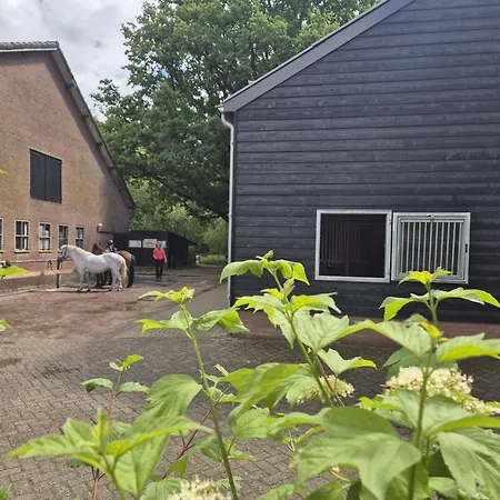 Lyxtält Klein Koestapel *