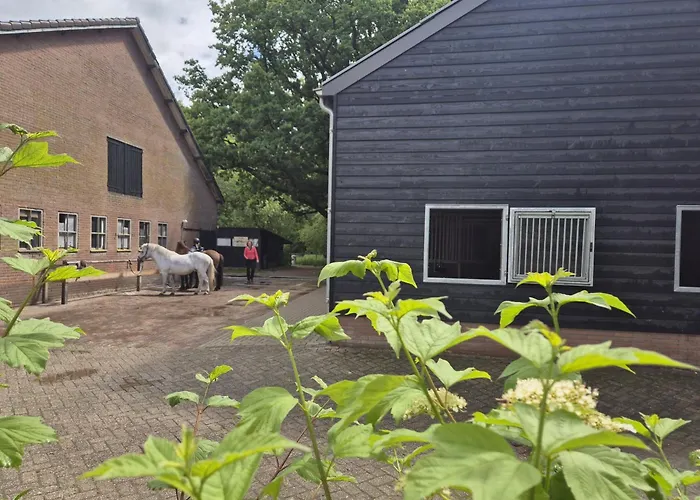 Tente de luxe Klein Koestapel *