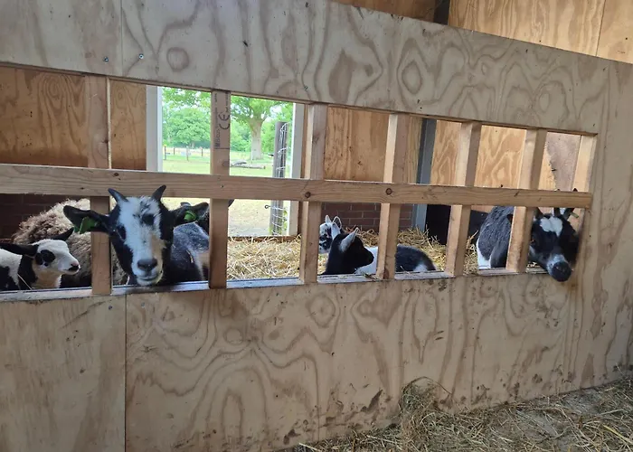 Luxusní stan Klein Koestapel Putten